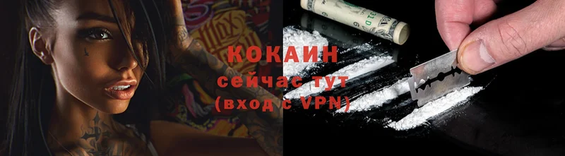 продажа наркотиков  Ишим  COCAIN Колумбийский 